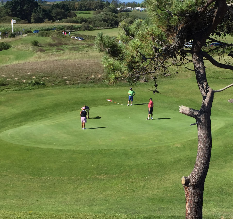 Mantenimiento campos de golf