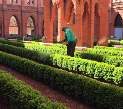 Mantenimiento jardines Comillas
