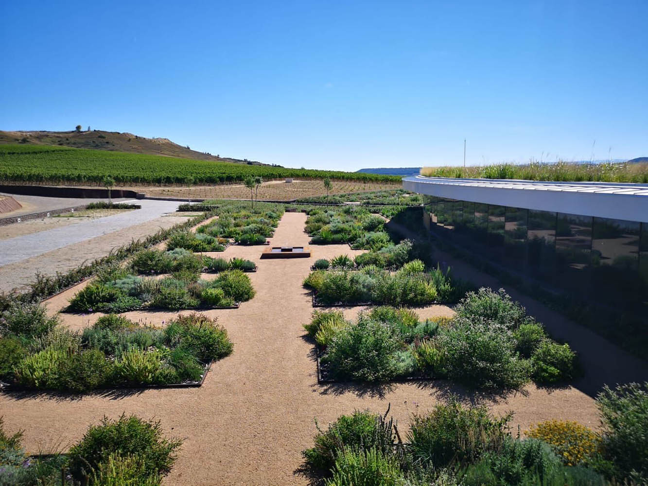 paisajismo bodegas04