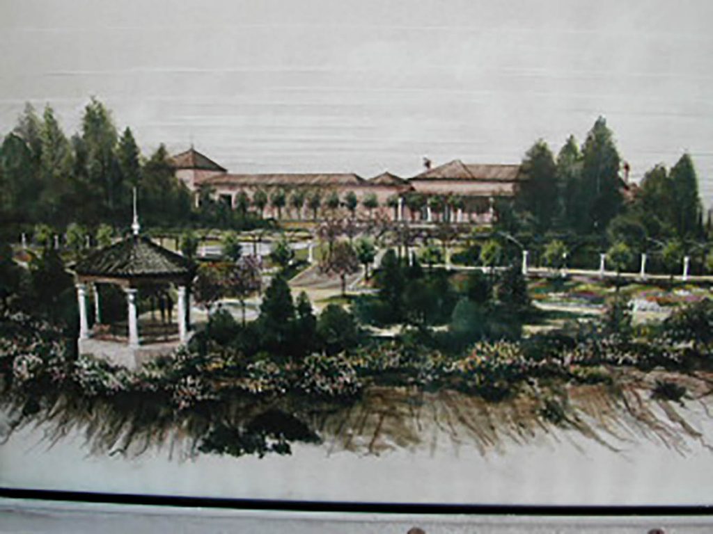 paisajismo trabajos taller01